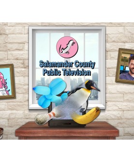 Salamander County Public Television XBOX One / Xbox Series X|S Xbox One Key 